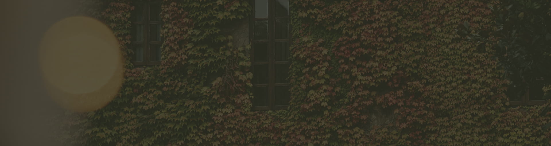 Palace façade Detail of the vines covering the facade of one of the buildings of the complex.