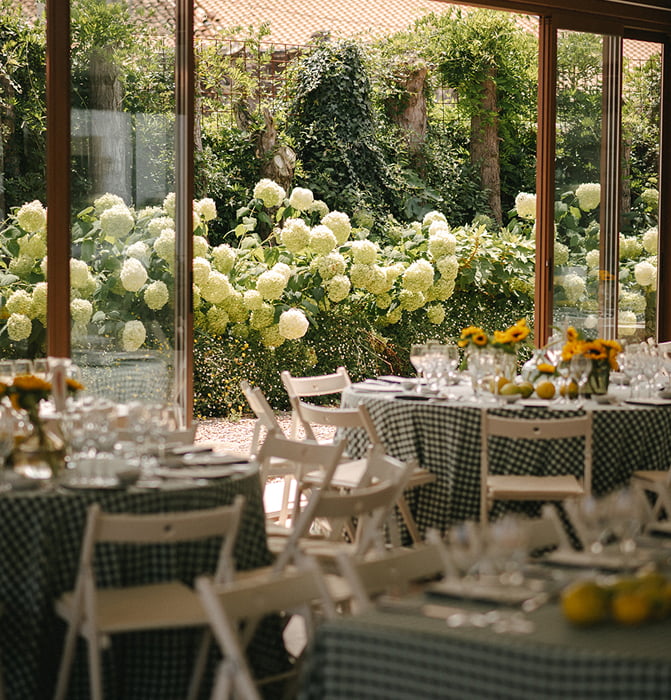 Glazed living room 10 View of the hydrangeas from inside the conservatory