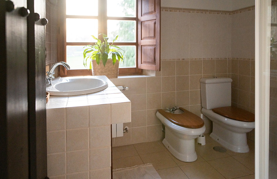 Cottage 10 Exterior bathroom with lots of light