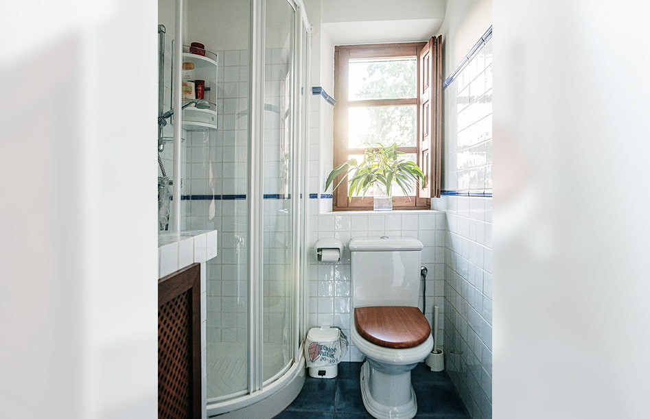 Cottage 9 Bathroom with shower by the window